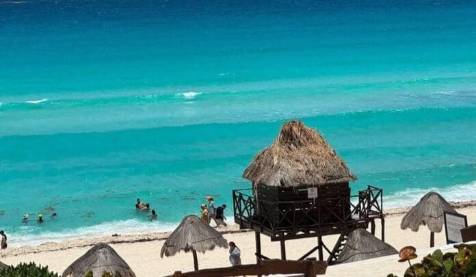 Sin sargazo; así es como luce Playa Delfines, una de las más emblemáticas de Cancún . Aunque el alga llega, el personal trabaja a toda hora.
