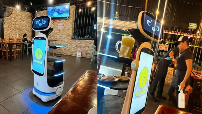 Robot mesero atiende a comensales de taquería en Ciudad Madero, Tamaulipas