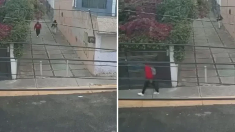 Hombre acosa sexualmente a joven en un callejón en Edomex