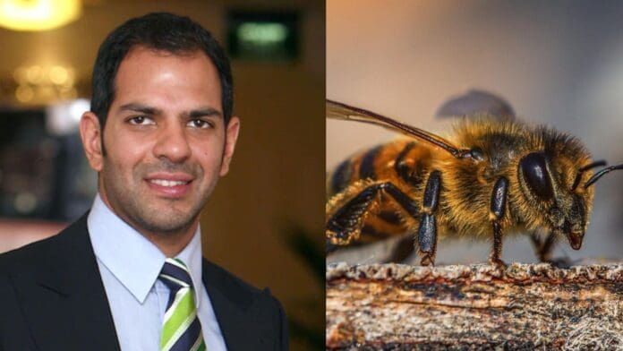 Multimillonario Sujay Kapur se traga una abeja durante un partido de polo y muere en Inglaterra