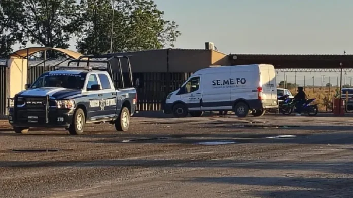 Muere trabajador tras ser atropellado por su compañero en un establo en Gómez Palacio, Durango