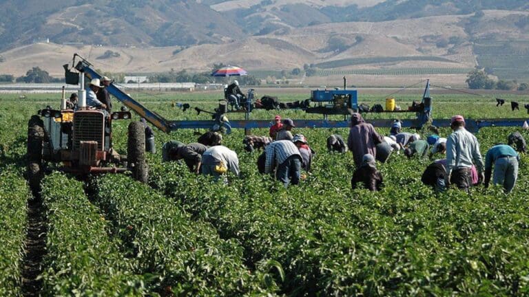 Donald Trump rectifica y dejará que migrantes puedan vivir en Estados Unidos; deben cumplir dos condiciones