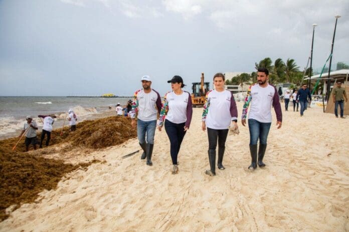 Estefanía Mercado lanza el “Reto Sargazo” y convoca a los gremios y a la ciudadanía a sumar esfuerzos en la limpieza de playas