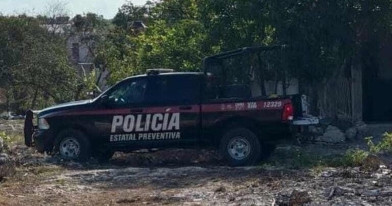 Hallan restos de una mujer con signos de violencia en área verde de Cancún