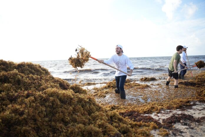 Fernando Muñoz se suma al ‘Reto Sargazo’ por Playa del Carmen