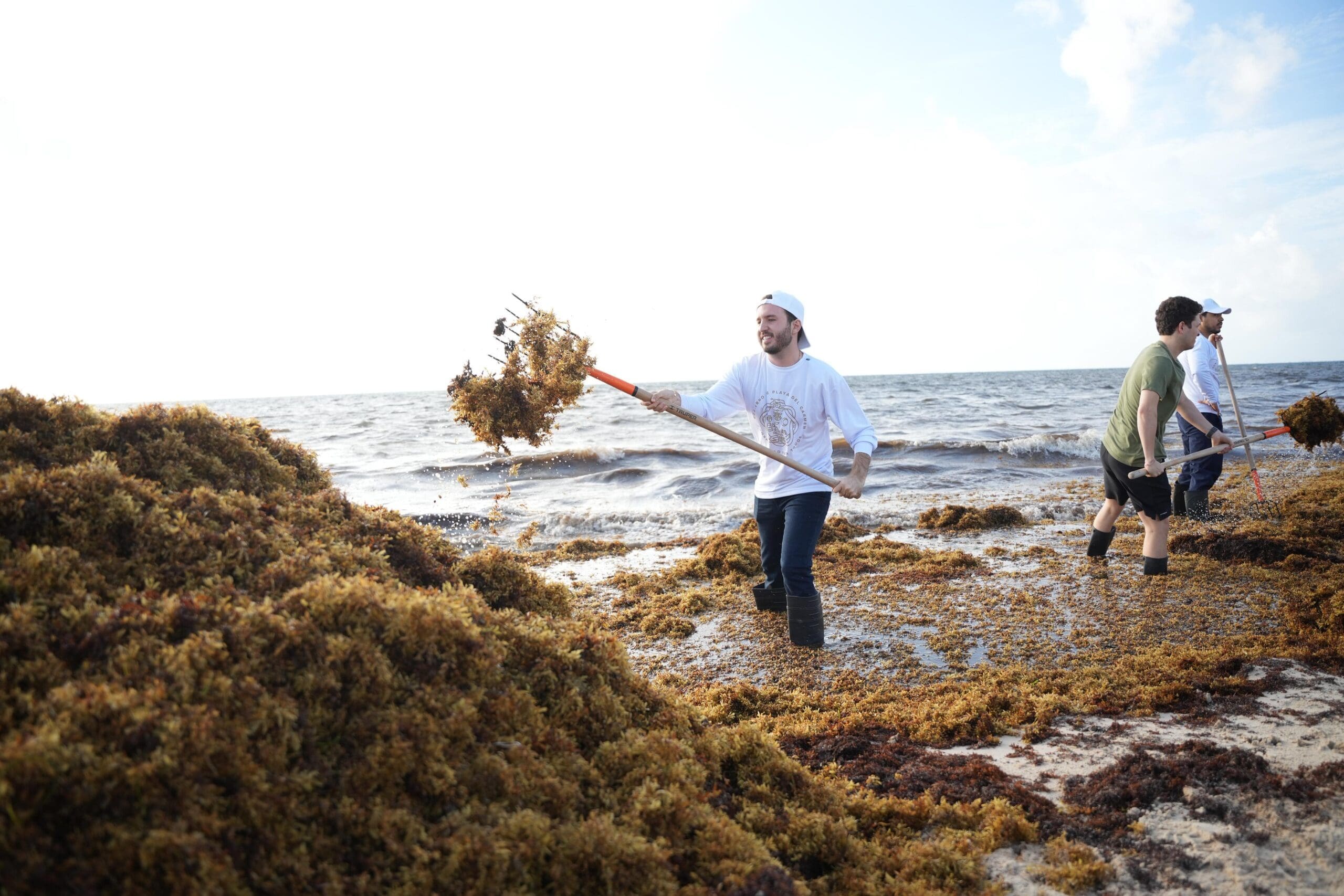 Fernando Muñoz se suma al ‘Reto Sargazo’ por Playa del Carmen