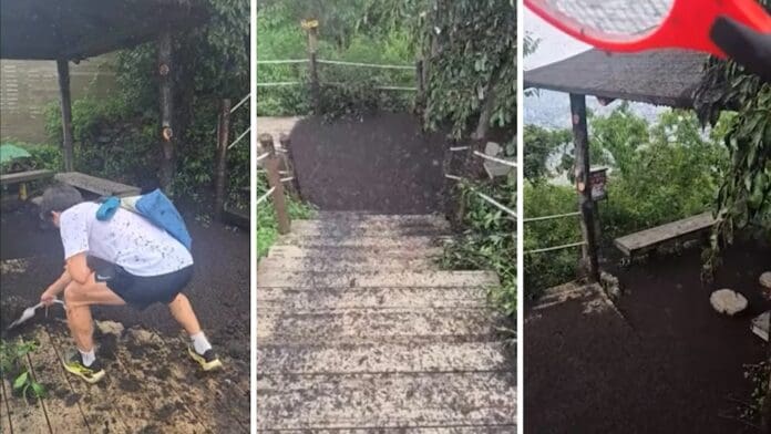 Video: Corea del Sur sufre invasión de los “bichos del amor” por las altas temperaturas