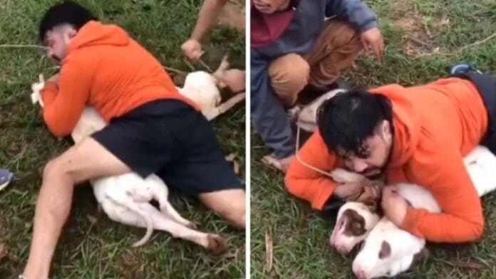 Video: Peleador de artes marciales lograr inmovilizar a perros pitbull que lo atacaron en Brasil