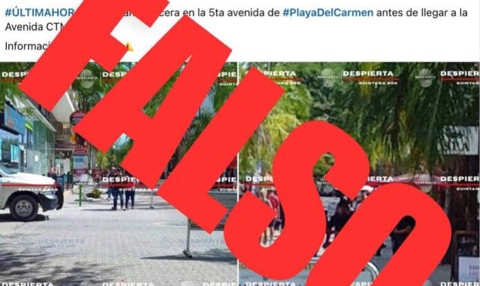 Desmiente Estefanía Mercado supuesta balacera en la Quinta Avenida de Playa del Carmen. Pide no difundir noticias falsas.