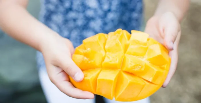 Muere niña de tres años al intentar cortar un mango en Veracruz