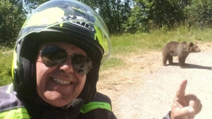 Turista pierde la vida tras ser arrastrado por unos osos con los que se tomó una selfie en Rumania