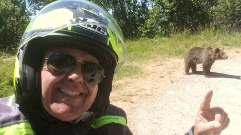 Turista pierde la vida tras ser arrastrado por unos osos con los que se tomó una selfie en Rumania