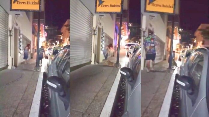 Video: Pareja extranjera pasea con un león por las calles de Puerto Vallarta, Jalisco