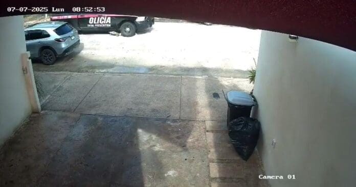 Policías estatales de Quintana Roo atropellaron a un perro; autoridades investigan el percance donde murió un lomito.