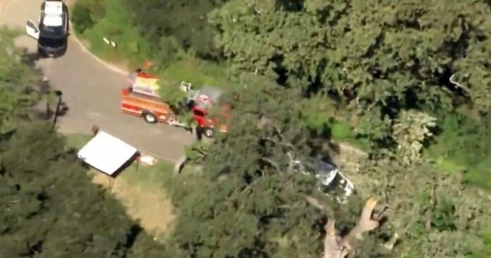 Fallece niño tras caída de la rama de un árbol en un campamento en Estados Unidos