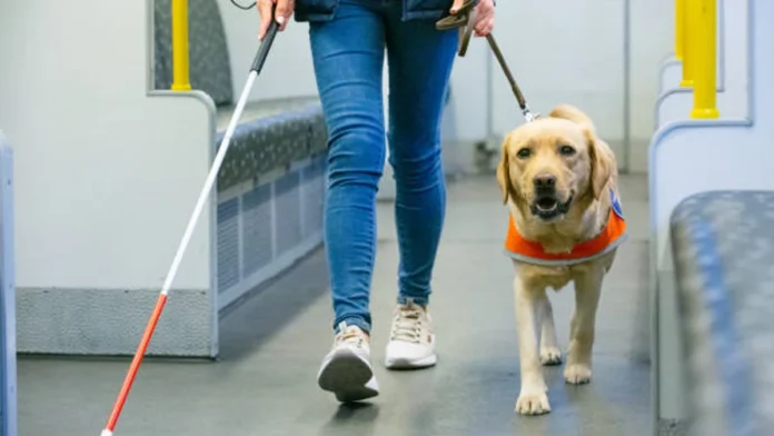Niegan a mujer ciega el ingreso al Metro de Cdmx con su perra guía