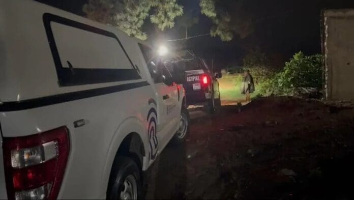 Hallan tres cuerpos en posible fosa clandestina en Zapopan, Jalisco; perro roía bolsa con restos