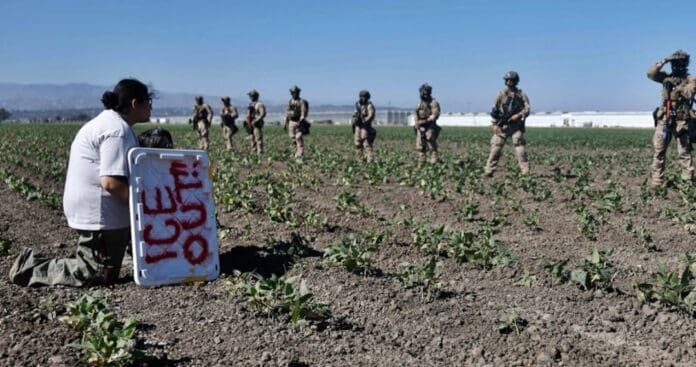 Jueza ordena al ICE que suspenda sus redadas en California, Estados Unidos