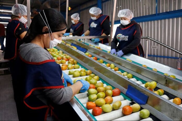 Impone Estados Unidos arancel del 17.09% al jitomate de México