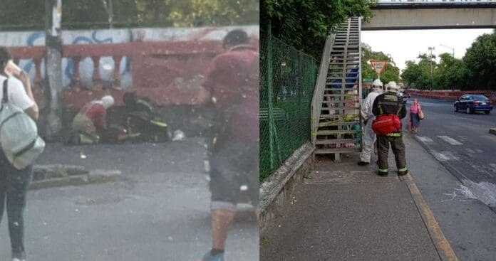 Muere hombre y hay varios heridos por ataques de abejas en Cuernavaca, Morelos