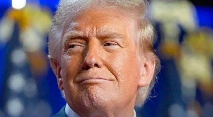 Donald Trump afirma que los cárteles controlan a México, a sus políticos y funcionarios. ¿Estás de acuerdo?