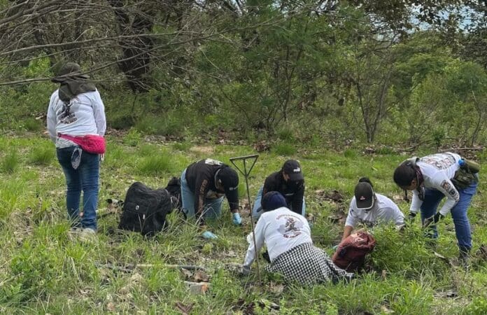 Hallan presunto crematorio y campo de entrenamiento clandestino en Cerro de Cuauhtépetl, Jalisco