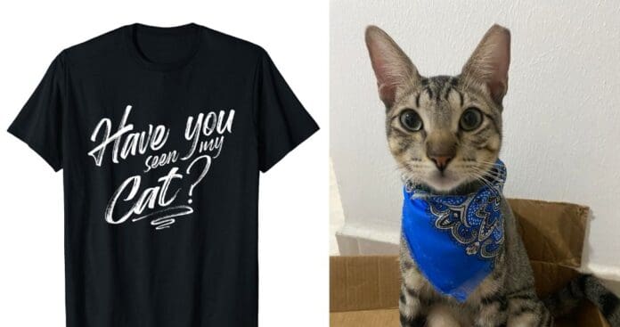 Imprimen por error el celular de una mujer en camisetas de “gato perdido” y recibe decenas de llamadas en Canadá