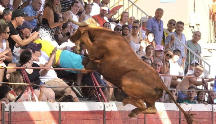 Toro salta a las gradas y ataca a público durante fiesta en España