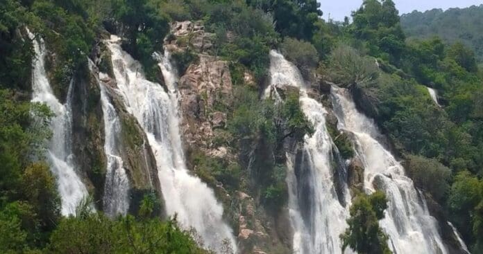 Turista desaparece tras caer de una cascada en Oaxaca