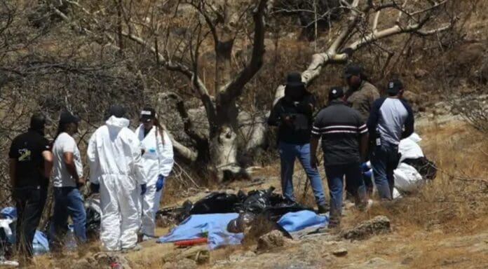 Hombre asesina a sus hijos menores y luego se quita laEl domicilio permanece bajo resguardo de elementos de seguridad pública y peritos del Instituto Jalisciense de Ciencias Forenses, quienes realizaron las primeras diligencias y el levantamiento de los cuerpos. vida en Jalisco