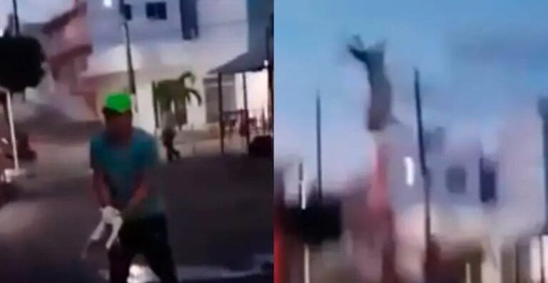 Sujeto lanza por los aires a una gata en Veracruz