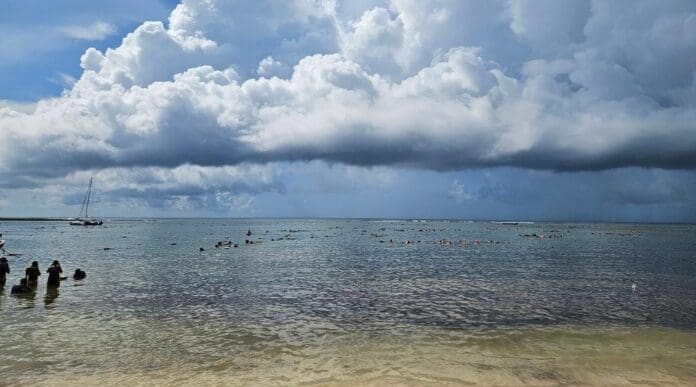 Fallece adulto mayor de Estados Unidos mientras practicaba esnórquel en la bahía de Akumal. Tenía 72 años de edad.