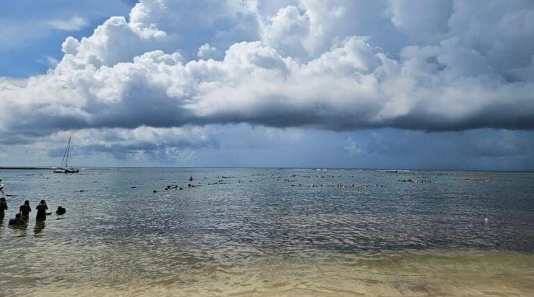 Fallece adulto mayor de Estados Unidos mientras practicaba esnórquel en la bahía de Akumal. Tenía 72 años de edad.