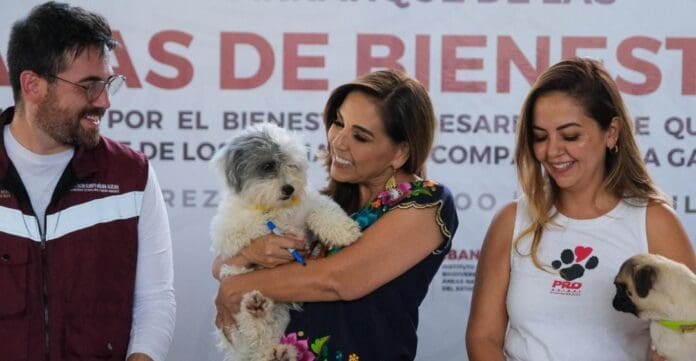 Por primera vez en Quintana Roo, Mara Lezama impulsa las Caravanas de Bienestar Animal. Se harán una vez al mes.