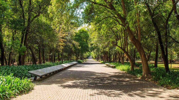 Rescatan a niño de seis años perdido en el Bosque de Chapultepec, en Cdmx