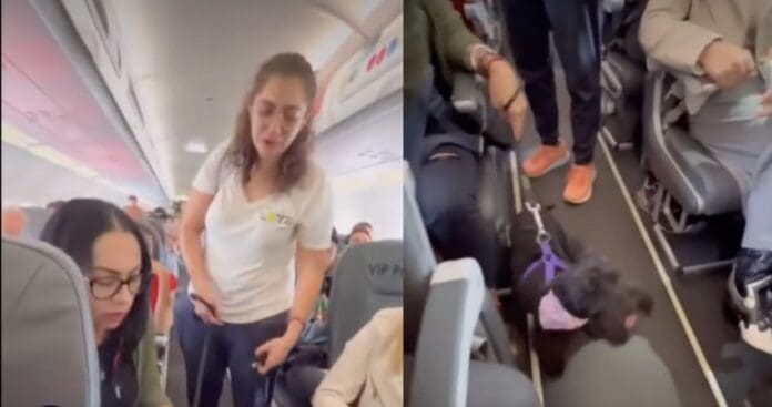 Video: Aerolínea baja a pasajera y niega acceso a perro de soporte emocional en Jalisco