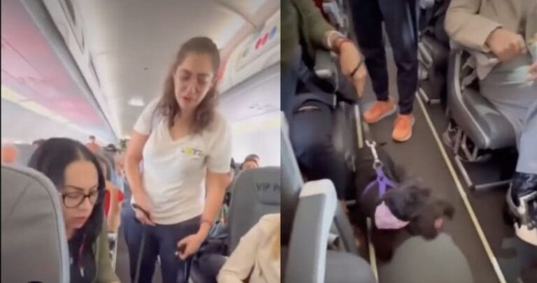Video: Aerolínea baja a pasajera y niega acceso a perro de soporte emocional en Jalisco