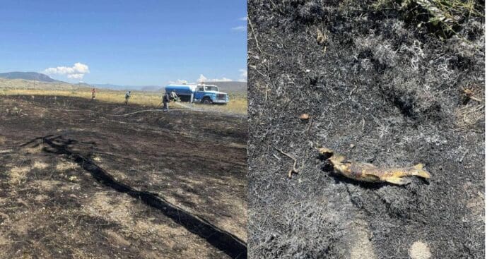Pez lanzado desde el aire provoca un incendio en Canadá