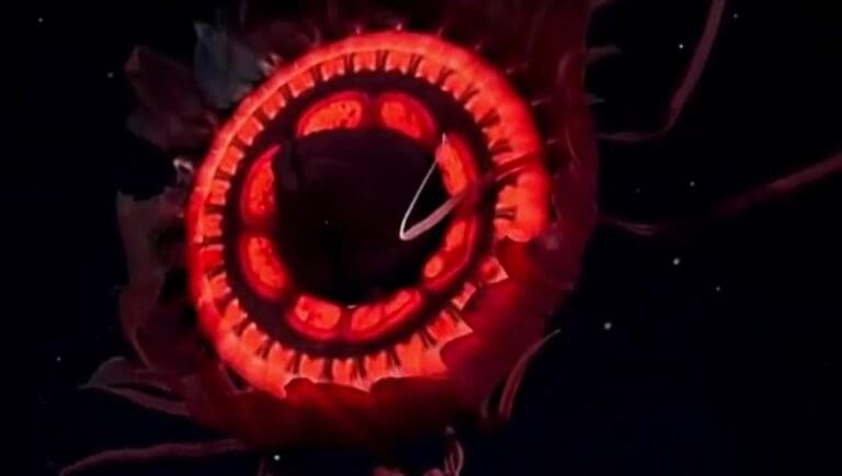 Sorprende una criatura marina que apareció a 3 mil metros de profundidad durante un streaming. La gente está muy emocionada.