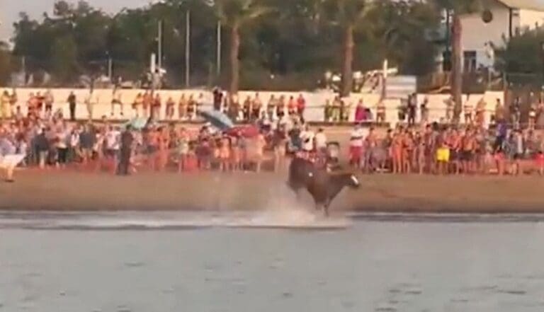 Caballo se mete al mar durante una carrera en España