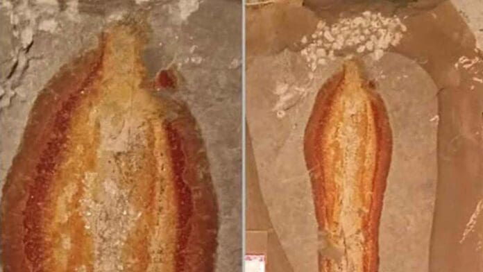 Hallan piedra con silueta de la Virgen de Guadalupe y le ponen su altar en Chiapas