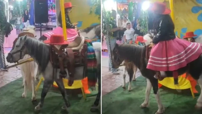 Denuncian maltrato animal contra ponis usados como carrusel en San Luis Potosí