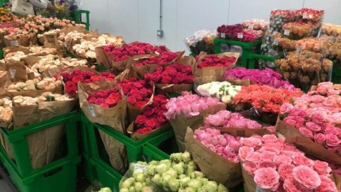 Incauta Estados Unidos metanfetaminas con valor de 8 mdd ocultas en cargamento de rosas procedente de México