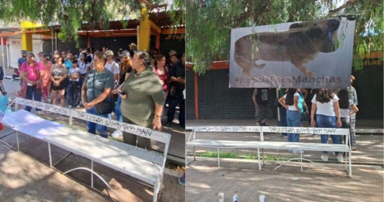 Muere perrita tras ser atacada con un ladrillo en Zacatecas; colectivos piden justicia