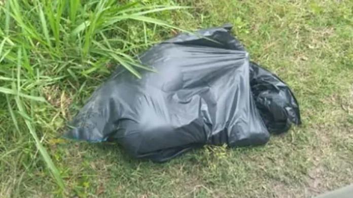 Abandonan cinco cabezas humanas en Tlaxcala