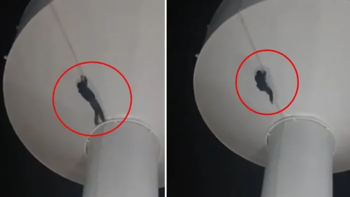 Hombre muere tras escalar un tanque de agua en Ojinaga, Chihuahua