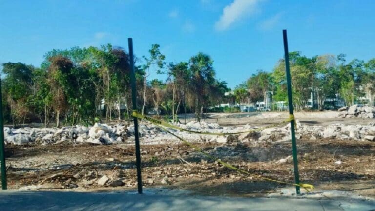 Frenan desarrollo inmobiliario en Playacar por incumplir normas ambientales en Playa del Carmen