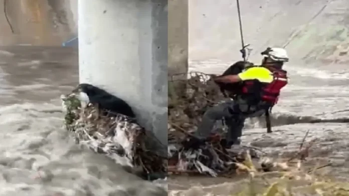 Rescatan a perrito atrapado en un arroyo en Nuevo León
