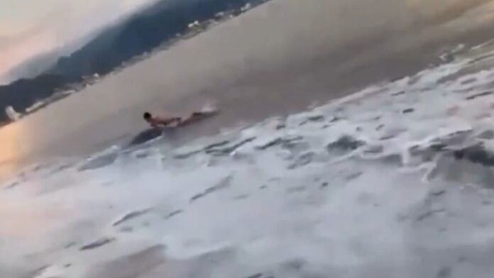 Video: Escapa joven de ataque de cocodrilo en Puerto Vallarta, Jalisco