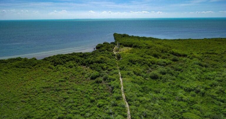 Unesco cuestiona a Sedena por proyecto turístico en Sian Ka’an, Quintana Roo; es reserva protegida